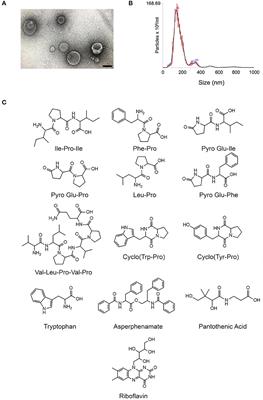 Small Molecule Analysis of Extracellular Vesicles Produced by Cryptococcus gattii: Identification of a Tripeptide Controlling Cryptococcal Infection in an Invertebrate Host Model